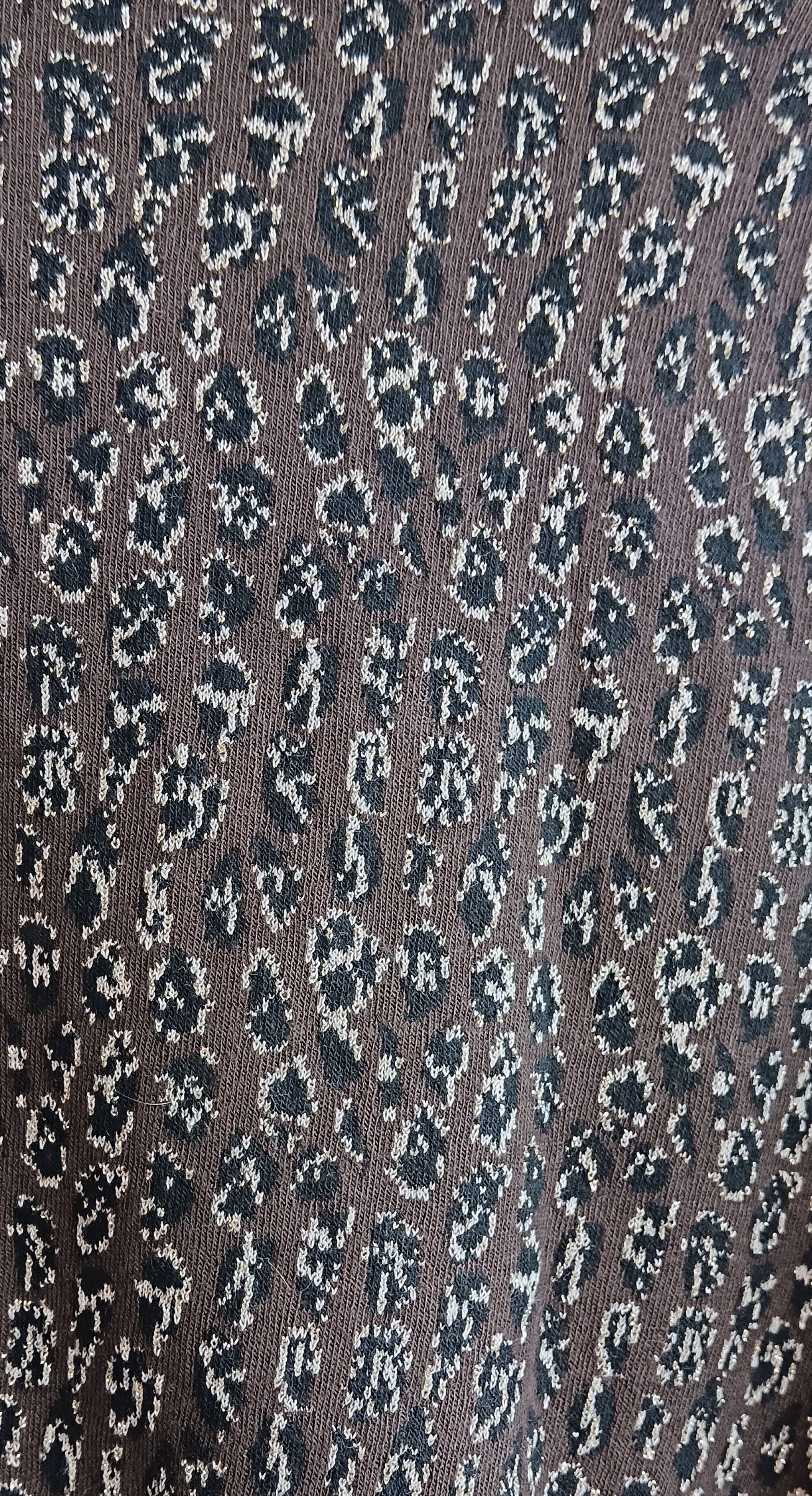 Quando hai deciso di fare una camminata solitaria in montagna