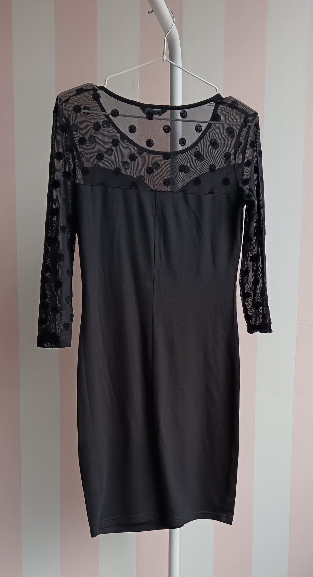 Il tuo primo stage dopo la laurea