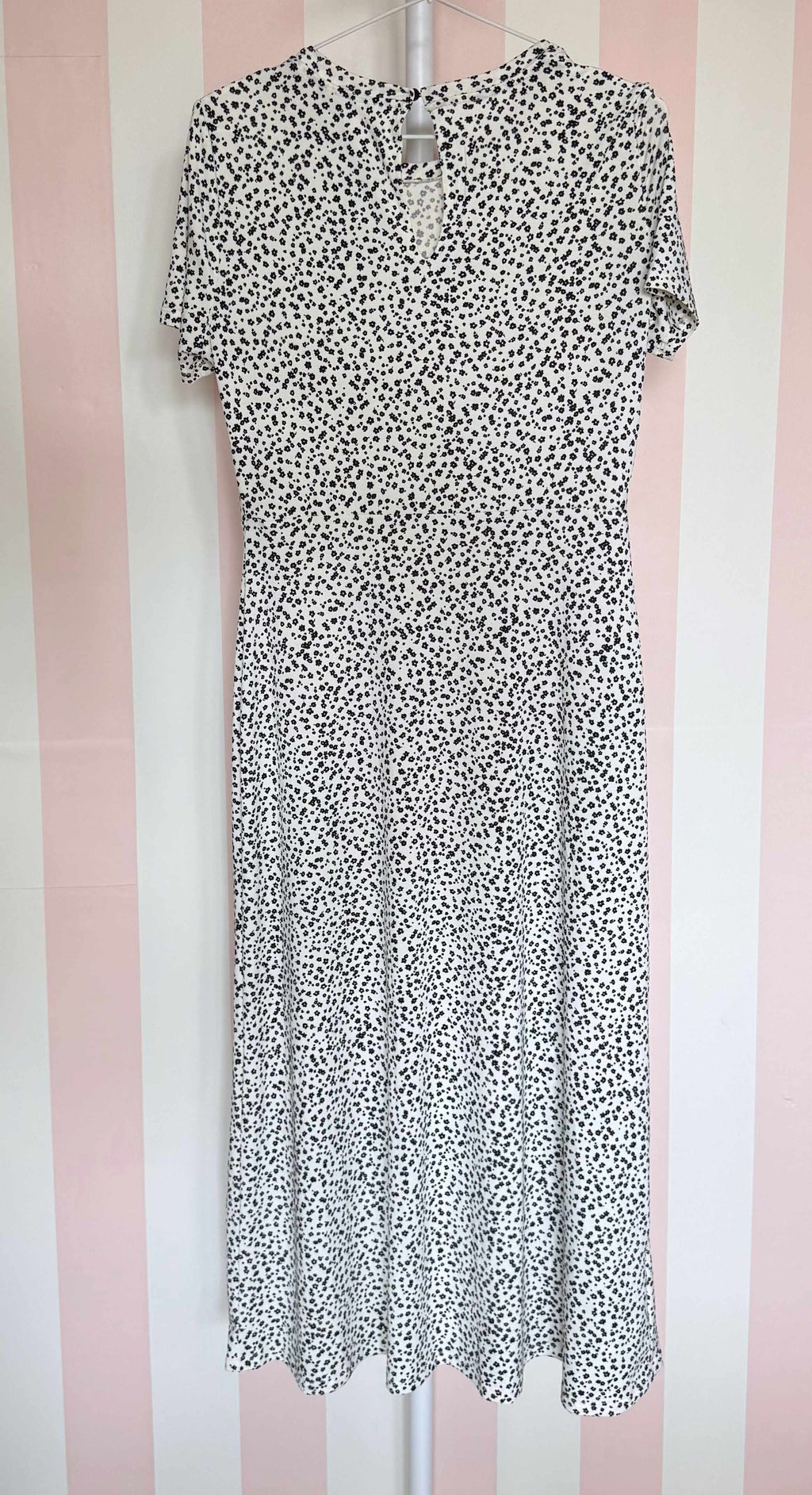 L’ansia dell’appello