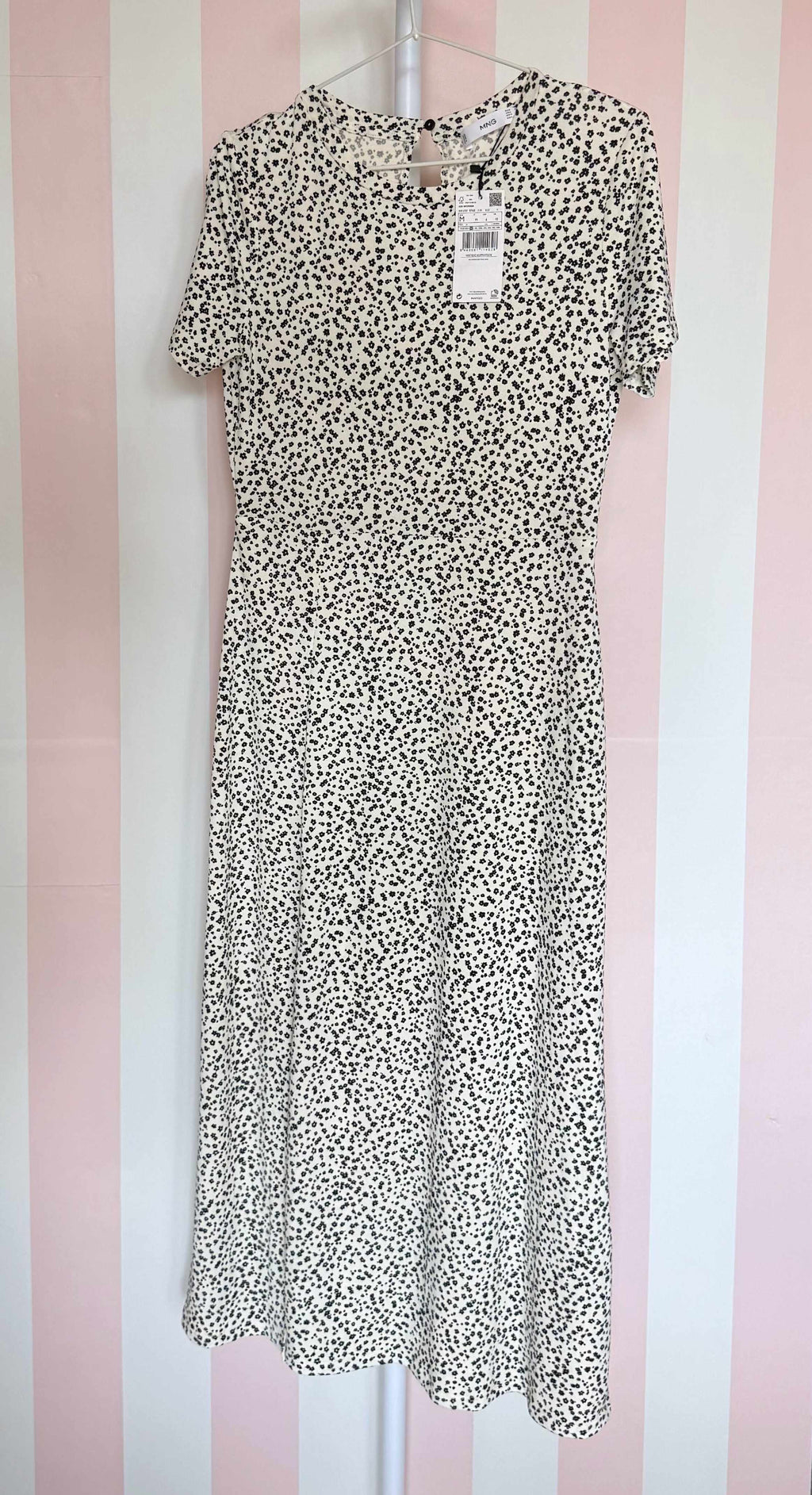 L’ansia dell’appello