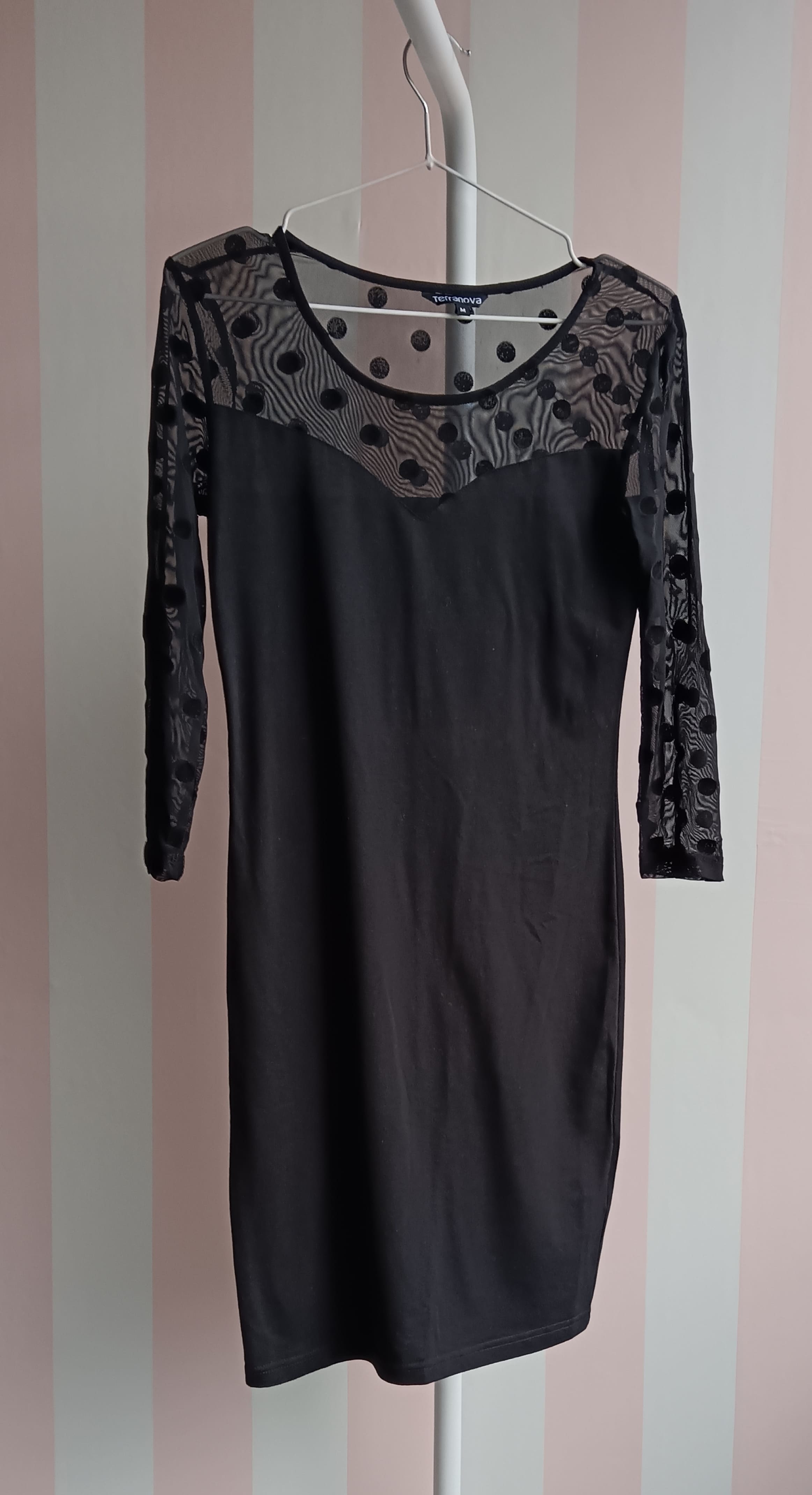 Il tuo primo stage dopo la laurea